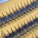 Накладні вії Nesura Eyelash Premium хвіст ластівки, 12 мм 00410 фото 2