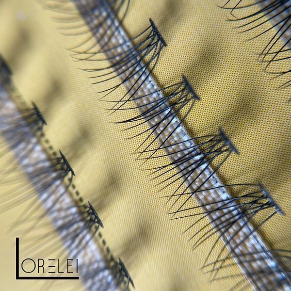 Накладні вії Nesura Eyelash Premium 10 D 8мм, вигин C 00420 фото